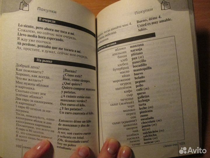 Испанский язык: грамматика, разговорник, словарь