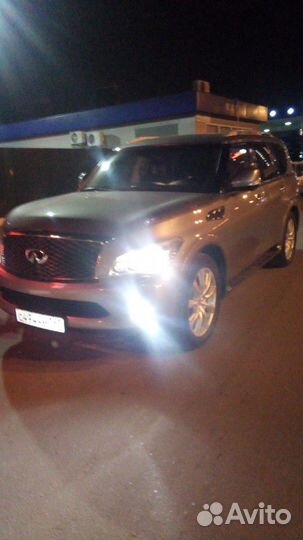 Трезвый водитель,водитель-перегонщик