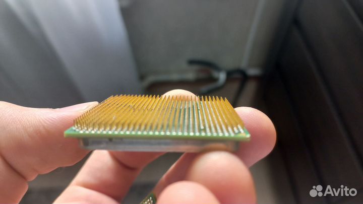 Процессор amd athlon 64 x2, Intel celeron