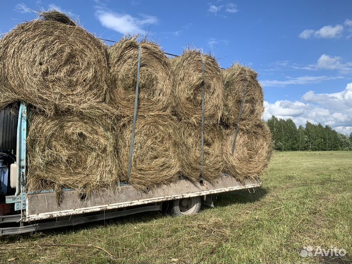 Сено в рулонах с доставкой