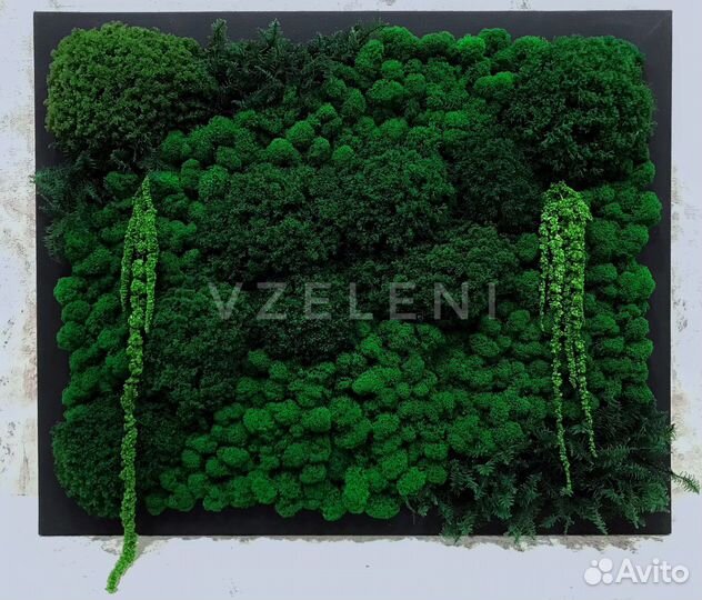 Интерьерное панно из стабилизированного мха