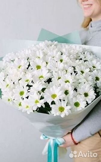 Хризантема Доставка цветов Букеты