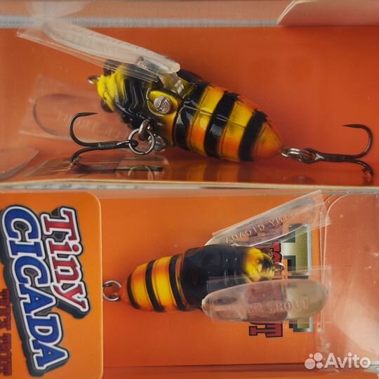 Tiemco Trick Trout Tiny Cicada