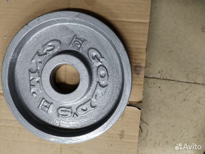 Блины Golds Gym D51