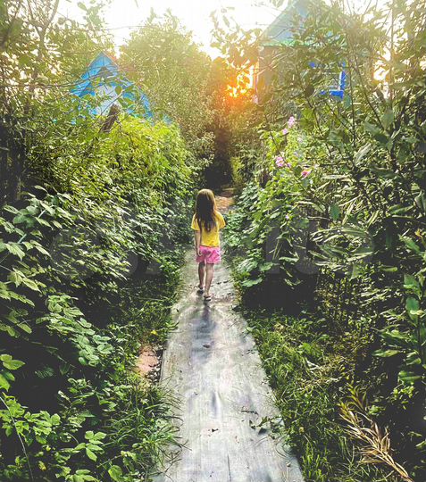 Участок 3,7 сот. (СНТ, ДНП)