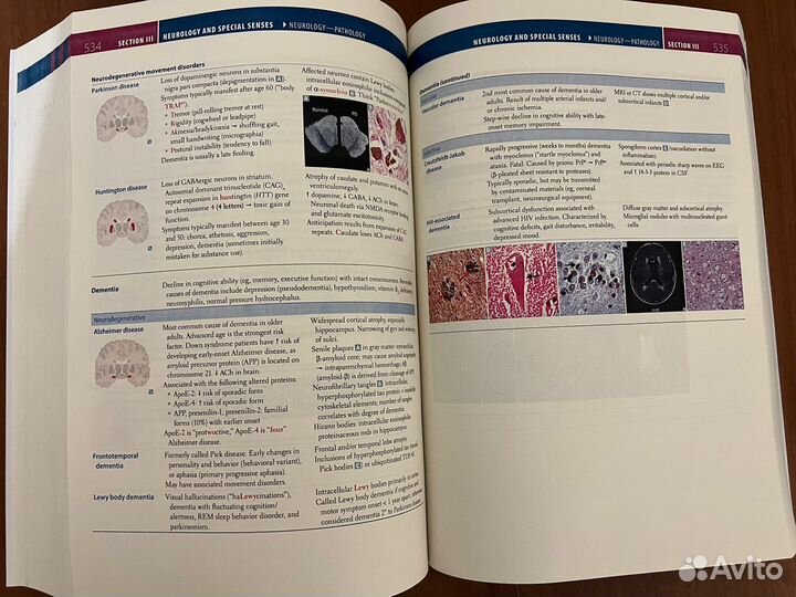 Usmle step 1 2024