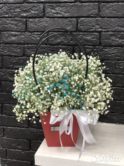 Гипсофила в коробке