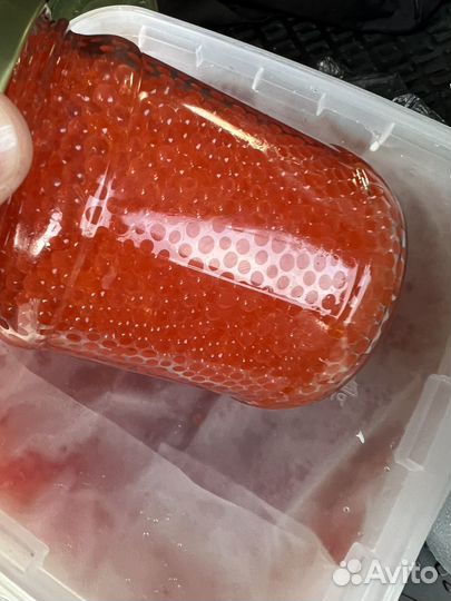 Красная икра форели