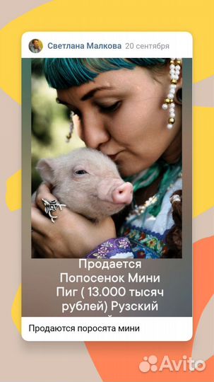 Продаются мини поросятки