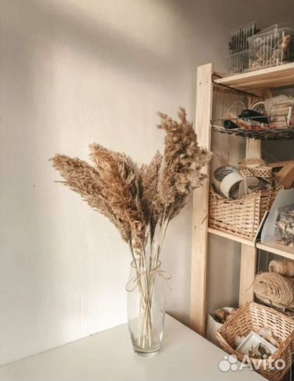 Цветы/сухоцветы/пампасная трава/камыш/украшения
