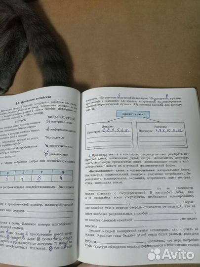 Рабочая тетрадь по обществознанию 7 кл. Котова