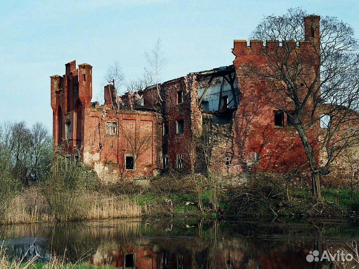 Экскурсия — Калининград — Старинные замки близ Кал