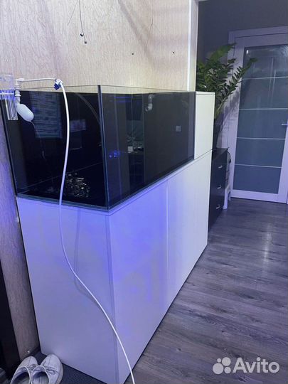 Морской аквариум индивидуально