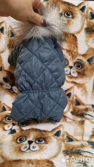 Комбинезон для собаки