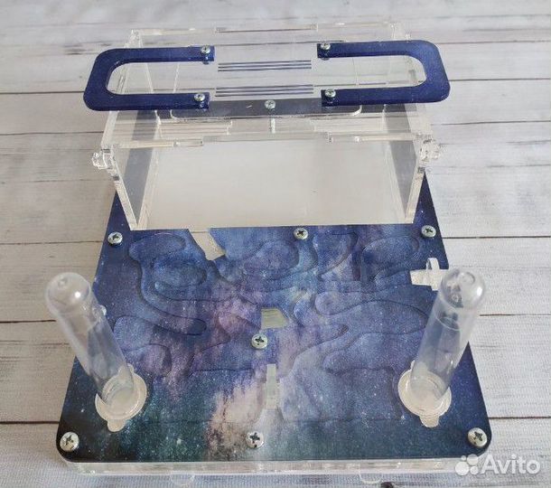 Муравьиная ферма В перми В наличии