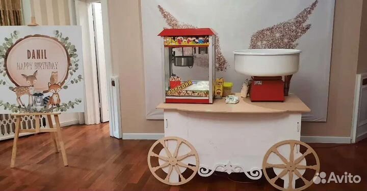 Шоколадный фонтан мороженое вата попкорн etc