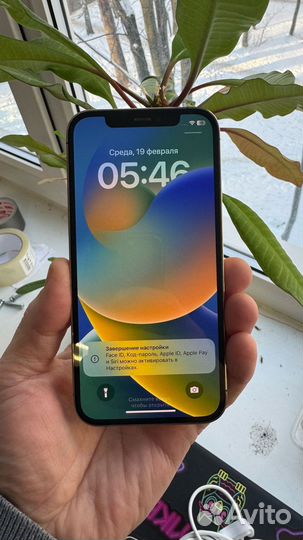 iPhone 12 Pro, 256 ГБ