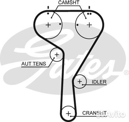 Ремень грм Gates, 5680XS