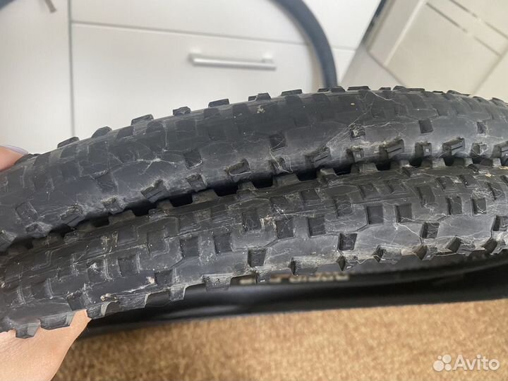 Покрышки schwalbe 29