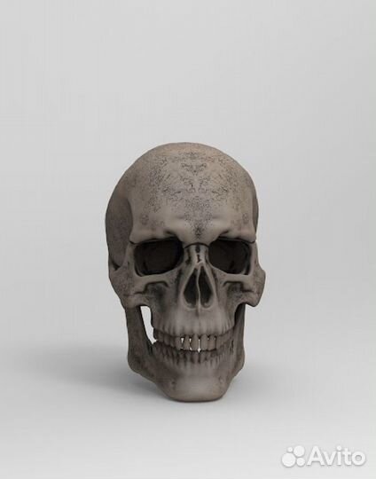 3d моделирование, рендер, текстуринг, nft