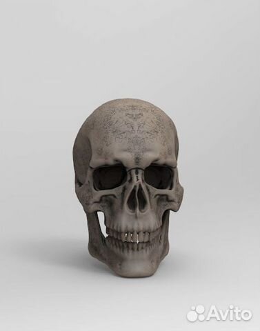 3d моделирование, рендер, текстуринг, nft