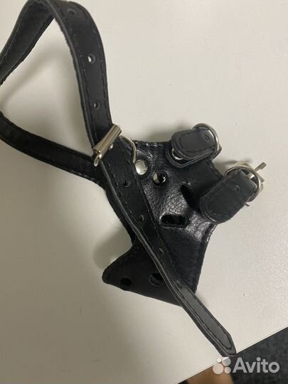 Намордник для собак