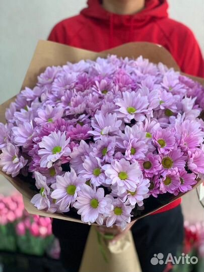 Огромный Букет из Хризантем Доставка