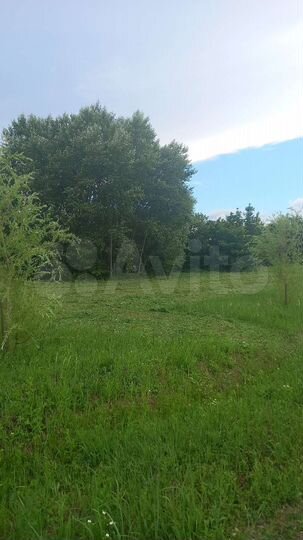 Участок 9,6 сот. (СНТ, ДНП)