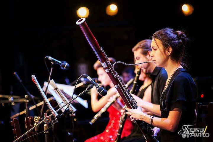 Учитель музыки