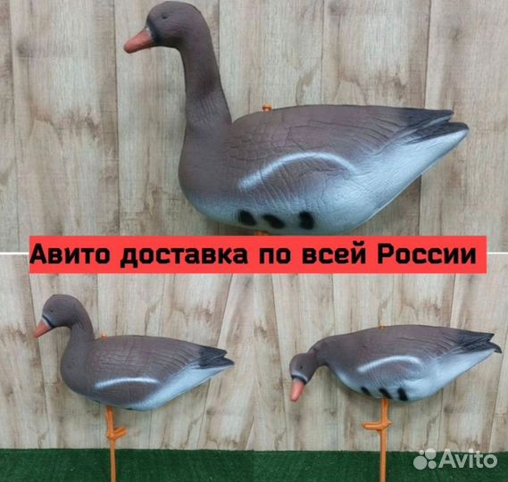 Чучела гусей профиля