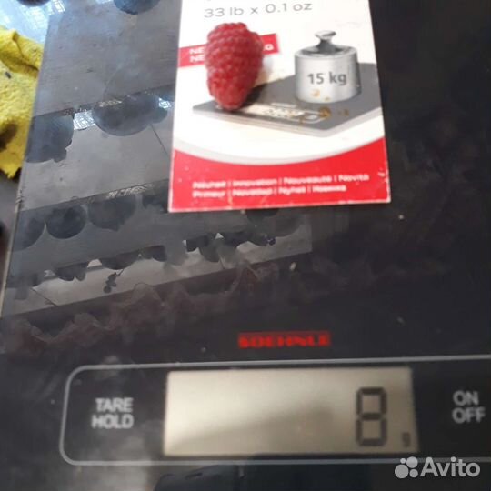 Саженец малинового дерева