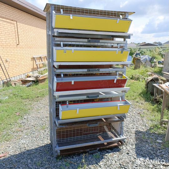 Клетки для перепелов