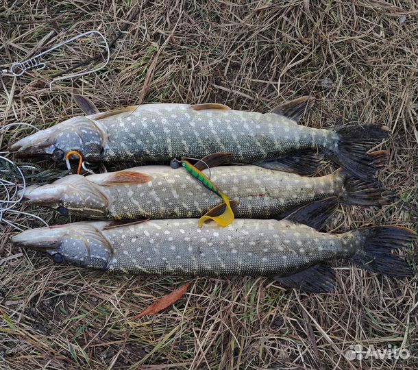 Силиколновая рыбка для рыбалки