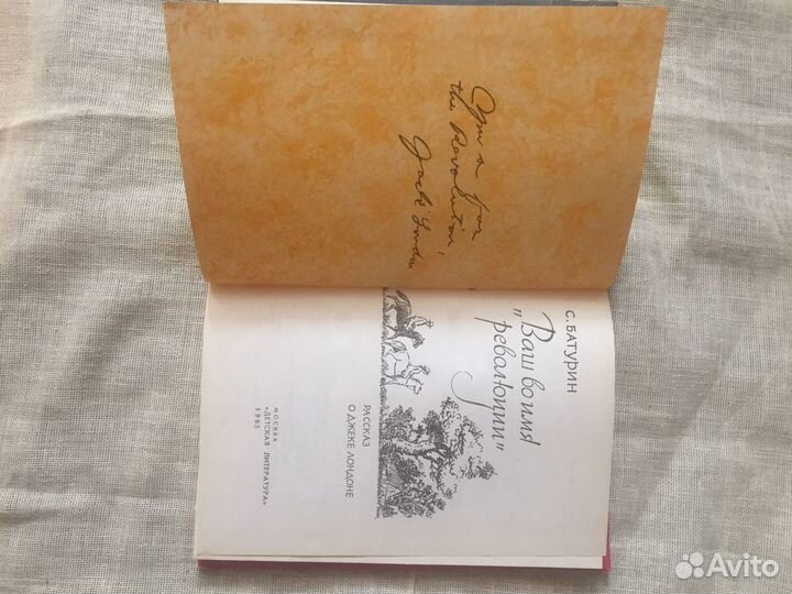 Книга писателя С.Батурина