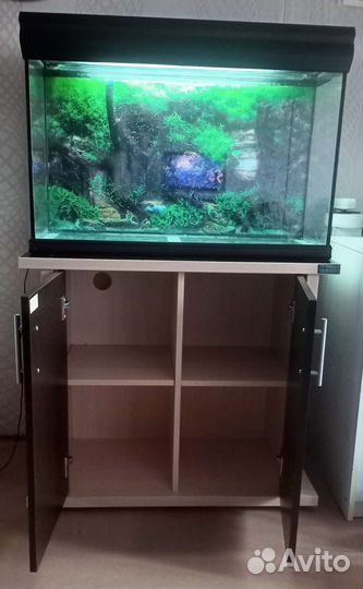 Аквариум 100 +Тумба+Свет