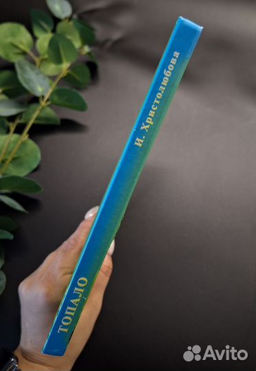 Топало. Таинственный путешественник