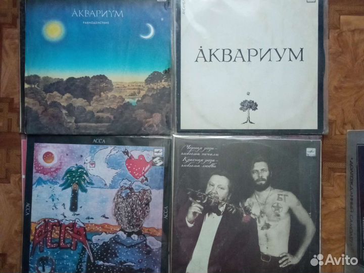 Виниловые пластинки