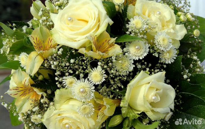 Продавец-консультант нижего белья и ортопедии