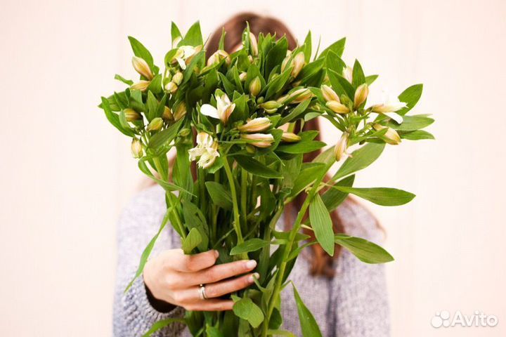 Букет цветы альстромерия