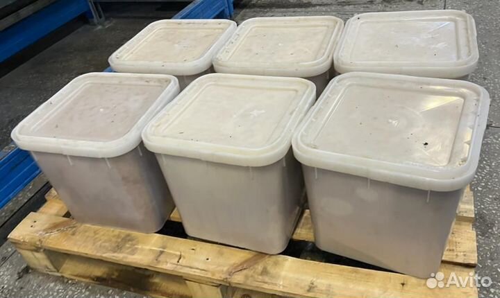 Оптом мед Дягилевый