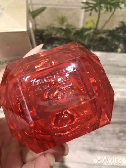 Roberto cavalli paradiso assoluto