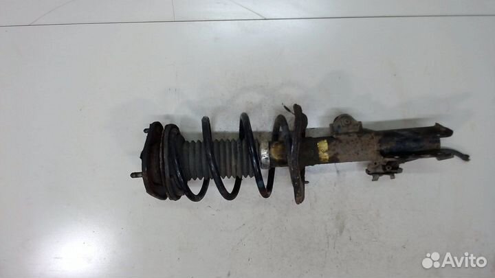 Амортизатор подвески Toyota Auris E15, 2008