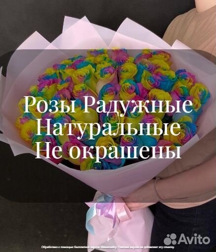 Розы Радуга 15 25 51