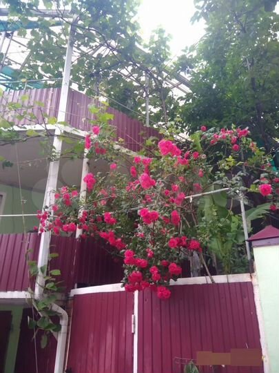 Комната 20 м² в 3-к., 1/1 эт.