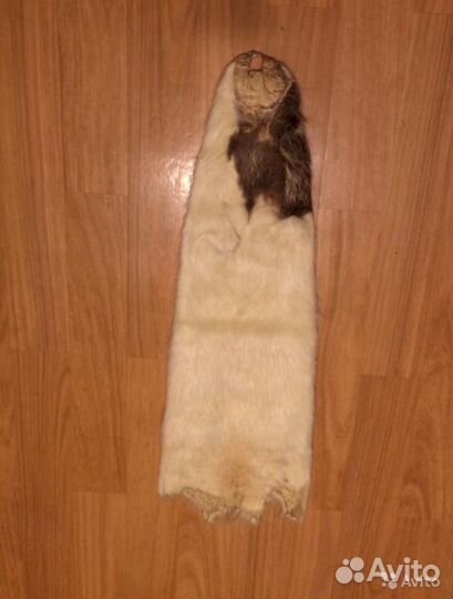 Шкурка-чулок нутрии