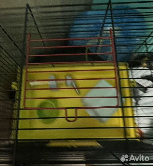 Клетка для грызунов Petmax