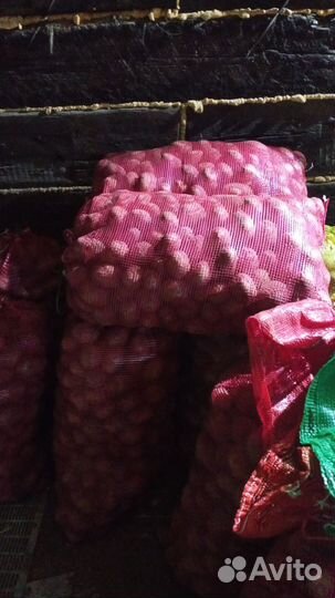 Продам картофель