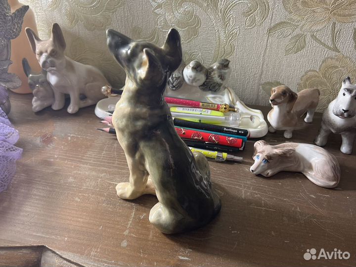 Собака щенок. Фазан Конаково