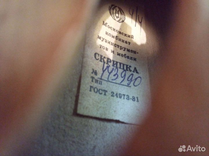 Скрипку 4/4 советы массив