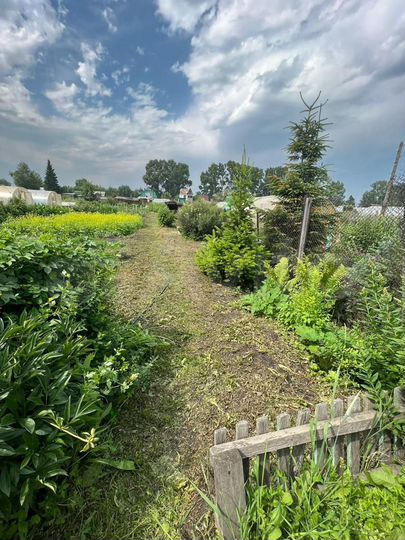 Участок 6 сот. (СНТ, ДНП)